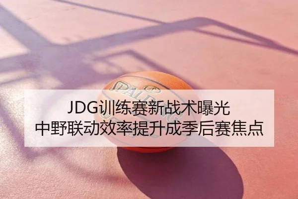 JDG训练赛新战术曝光 中野联动效率提升成季后赛焦点